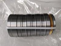 Eight stages thrust cylindrical roller bearing F-81600.T8R stock